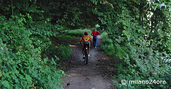 Radweg