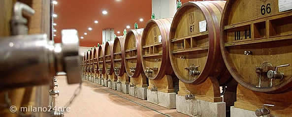 Chianti