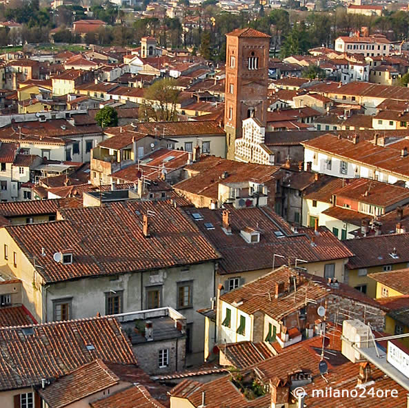 Lucca